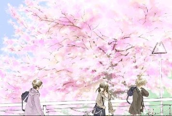 含羞草研究所2023